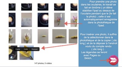 document pédagogique