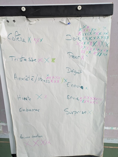 Ce visuel est une photo de paperboard sur lequel sont inscrites plusieurs émotions avec un nombre de croix variable collé à coté : colère, tristesse, anxiété/stress, honte, joie, peur dégoût, envie, embarras, surprise, et aucune émotion.