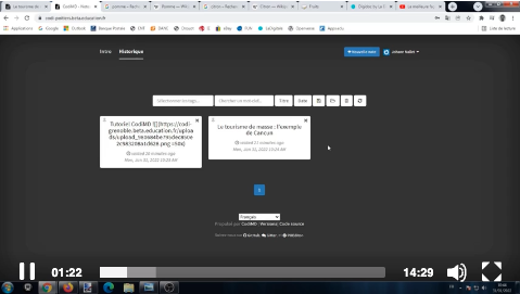 Impossible de lire la video